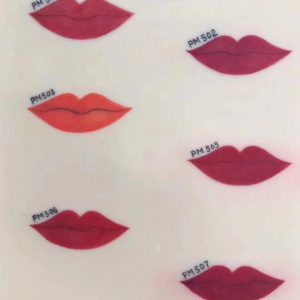 Kit de Pigmentos Labios